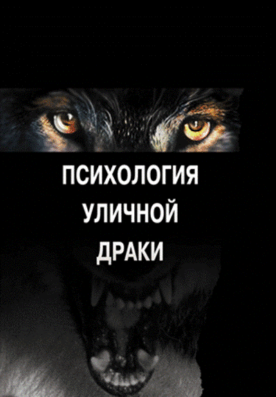 Психология уличной драки - Стоянов_0.jpg